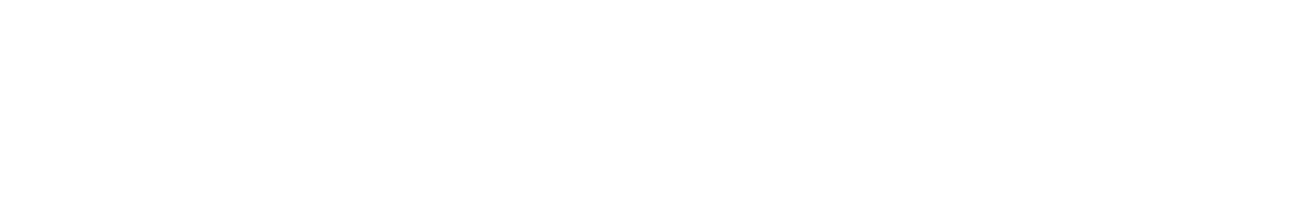 Auditoría y peritaje